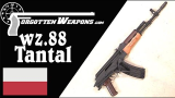 【被遗忘的武器/双语】wz.88钽式步枪 - 波兰自研的类AK-74
