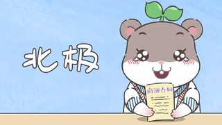 小仓鼠笛笛的直播日记 北极篇