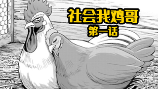 【森崎漫画屋】鸡哥也能拯救世界 《社会我鸡哥》P1