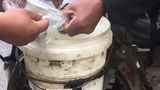 这才是正宗的臭豆腐