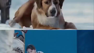 啊这！原来电影中的狗狗都是演员假扮的！