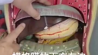 关于你身上的零部件,你了解多少