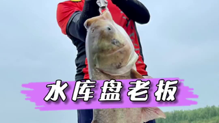 看邓刚老师钓鱼是真有意思,每次都会有意外收获…