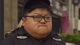 我家有两条狗,一条是我的,一条是我