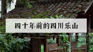 【乐山】40年前,那时没啥文保观念,不少人坐在大佛脚背上休息拍照,这一幕现在是看不到了。