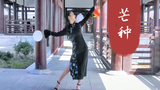 浅灯 芒种