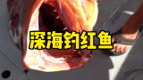 龙虾做饵 钓大红鱼