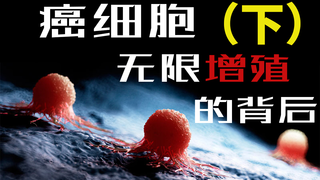 【深思派】癌细胞中,是否隐藏着人类永生的密码?癌症与进化观【癌症 基因的诅咒 下】