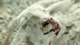 【独家】【何止电影】把羊撞死了，还要给它超度《撞死了一只羊》