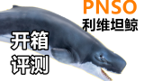 【梅男】PNSO 利维坦鲸 开箱评测