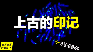 为什么全世界的柠檬都读Lemon?背后是刻在8号染色体的上古故事