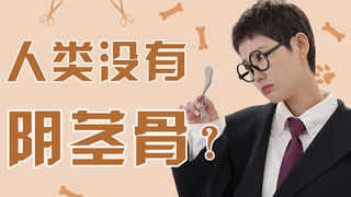 人 类 的 阴 茎 骨 哪 去 了 ? | 夹性芝士