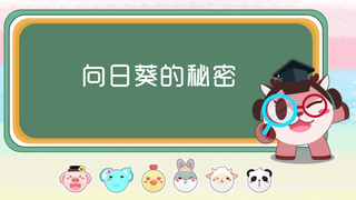 【奇奇和努娜】讨厌太阳的向日葵