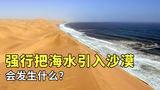 把海水引入沙漠灌溉会发生什么?看中东强行引水的后果就知道了!