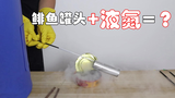 在鲱鱼罐头里加入液氮,-196℃的鲱鱼罐头是什么味道?
