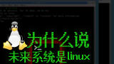 013为什么说未来系统是linux