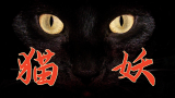 【奥雷】有关黑猫的台湾民间恐怖传说你听过吗？《猫妖》