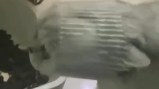 这猫咋这个造型
