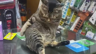 挠背就挠背,它为什么吐舌头呢