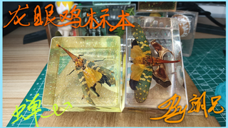 【朗兄手工】滴胶龙眼鸡标本(有抽奖)