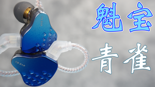 纳善如流,终成良品,魁宝青雀测评