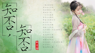 琵琶《知否,知否》——知否知否应是绿肥红瘦!