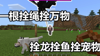 一根拴绳拴万物,拴龙拴鱼拴宠物《我的世界模组与地图》第二十期 覆盖的实况