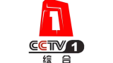 为中央电视台设计个专属logo，希望每一个中国人都喜欢