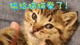 【小鱼日常】拳击输给了猫猫酱！