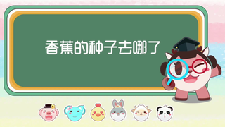 【奇奇和努娜】香蕉的种子去哪了