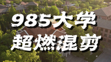 【中国大陆39所985大学超燃合集】你的母校是其中哪一所？