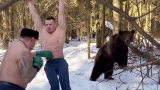 俄罗斯棕熊：出拳太慢，要不我试试？