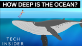 【中文字幕】海洋到底有多深？这段动画告诉你答案！