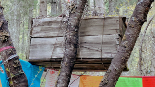 探秘西藏神秘树葬：树上安置着500个孩童，独特习俗令人生畏