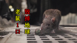 0.05米的小老鼠，仅仅1口就把地球毁灭，细思极恐的末日灾难电影