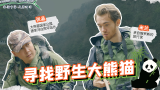 《体验中国·天府四川》EP25 寻找野生大熊猫