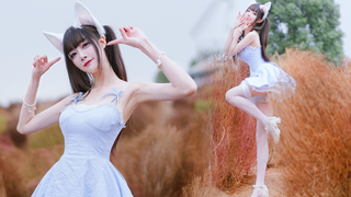 奶fu fu的纯欲小白兔~♛Bunny【未南】