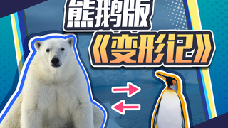 开个脑洞:把企鹅放到北极,把北极熊放到南极,会发生什么?