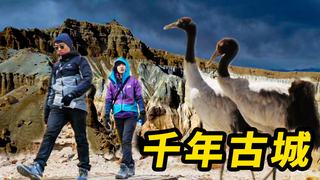 骗老板娘入无人区 惊现千年古城!