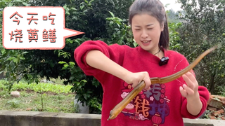 小漆做菜:第一次做黄鳝,过程很残忍,我含泪吃了两大碗米饭!