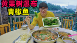 贵州安顺断桥青椒鱼，鲜美黄辣丁，酸辣炖豆腐，阿星逛黄果树瀑布