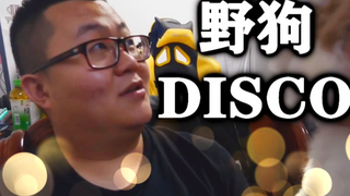 【孙笑川】野狗disco——孙笑川的自我修养