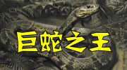 11-15米长，堪比泰坦蟒的始新世巨蛇之王：印度 婆苏吉蛇