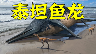 最大的海洋爬行动物？巨型鱼龙的绝响：堪比蓝鲸的泰坦鱼龙