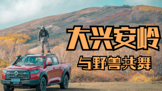 【内蒙】这是一段只想踩油门的旅行!在大兴安岭与野兽共舞