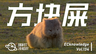 袋熊,方块便便!