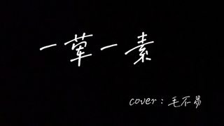 一荤一素