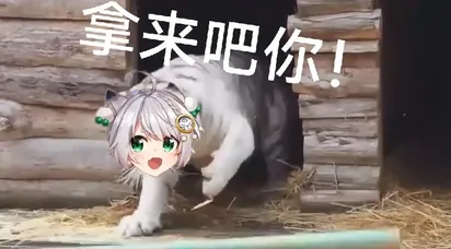 Acfun弹幕视频网 认真你就输啦 W ノ つロ Acfun弹幕视频网 认真你就输啦 W ノ つロ