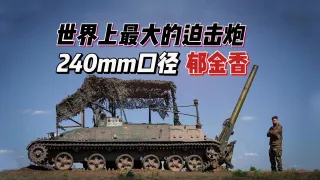 拆楼神器——2S4“郁金香”，240毫米口径自行迫击炮，世界上最大口径的迫击炮