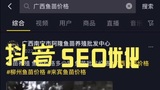 短视频seo优化，短视频seo排名，短视频seo排名优化